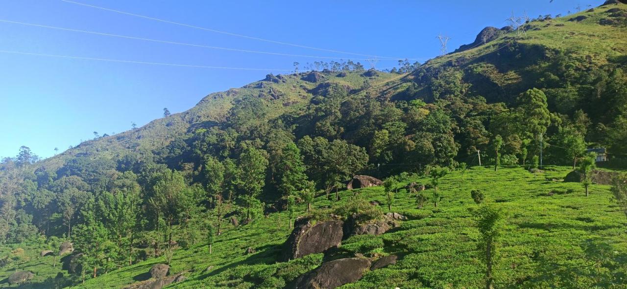 Tea Dale - All Rooms With Tea Estate View Munnar Eksteriør bilde