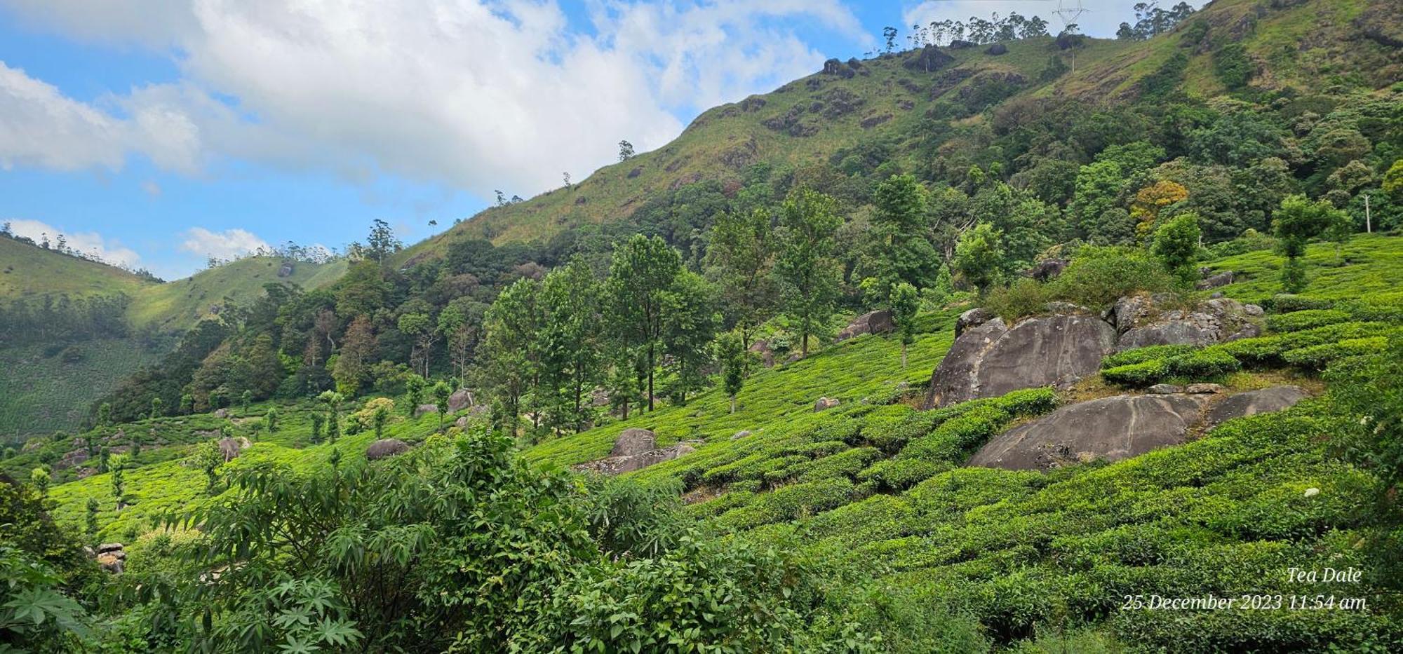 Tea Dale - All Rooms With Tea Estate View Munnar Eksteriør bilde
