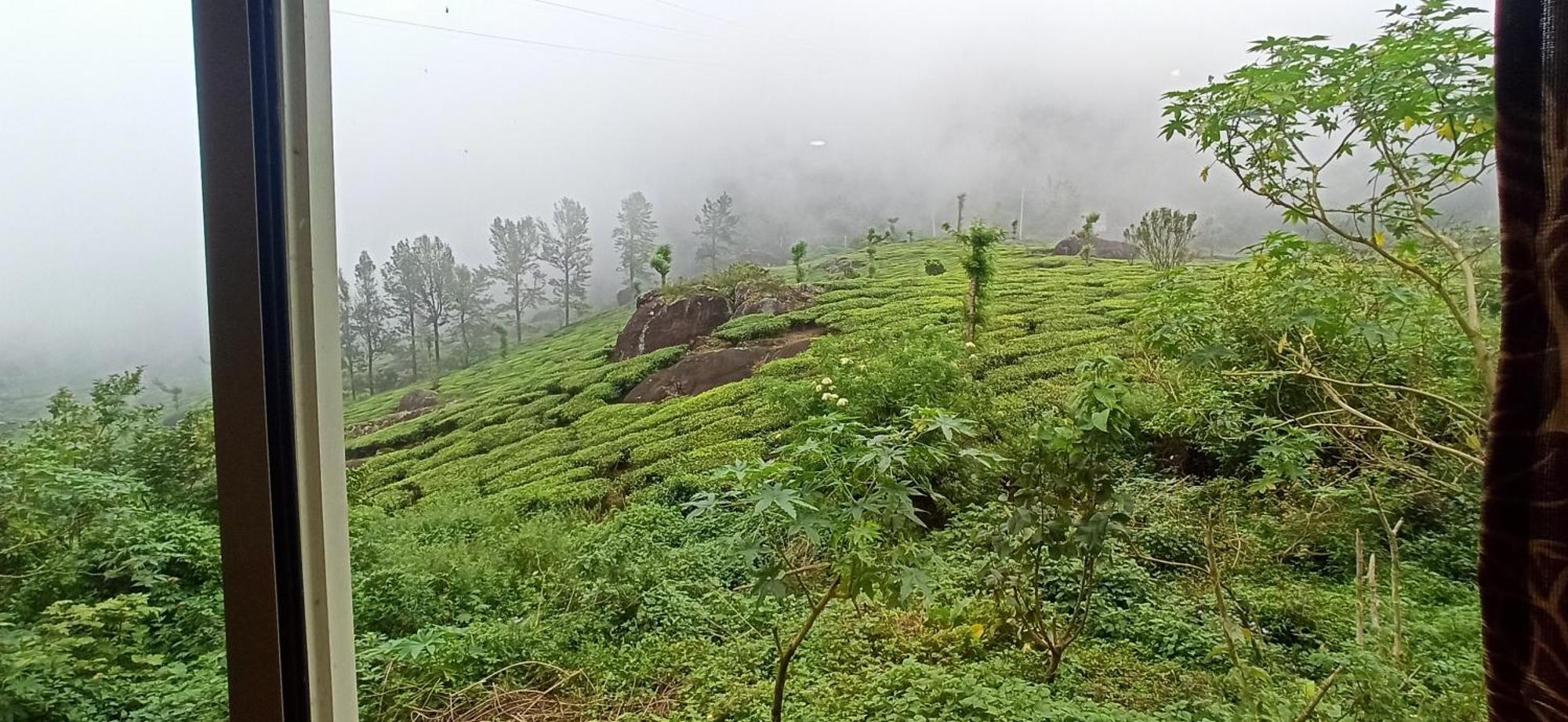 Tea Dale - All Rooms With Tea Estate View Munnar Eksteriør bilde