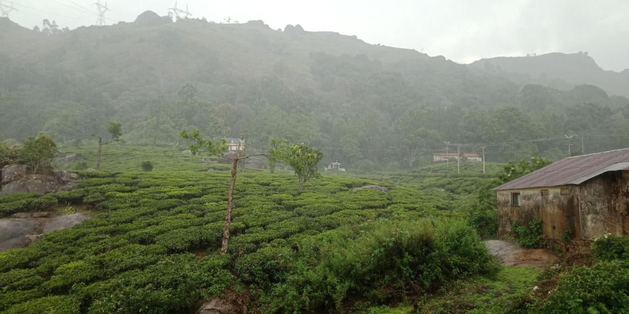 Tea Dale - All Rooms With Tea Estate View Munnar Eksteriør bilde