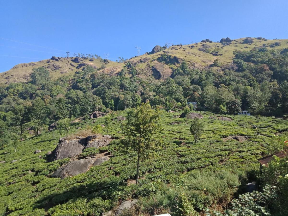 Tea Dale - All Rooms With Tea Estate View Munnar Eksteriør bilde