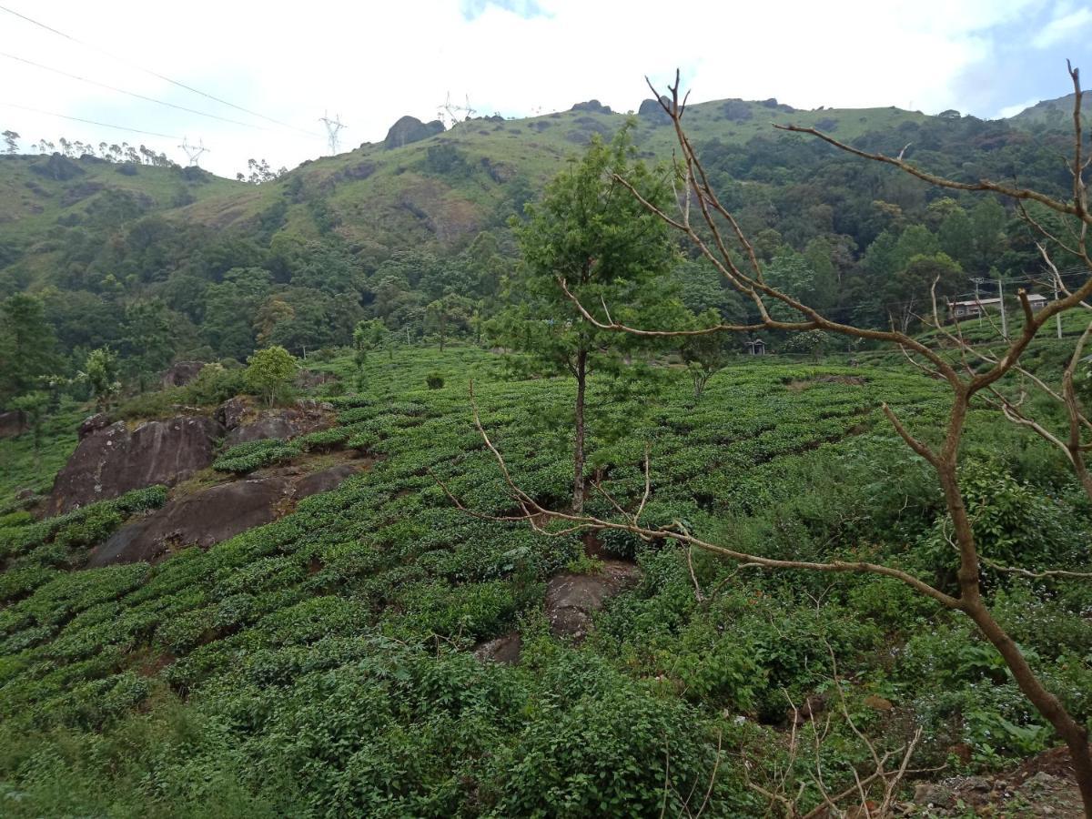 Tea Dale - All Rooms With Tea Estate View Munnar Eksteriør bilde
